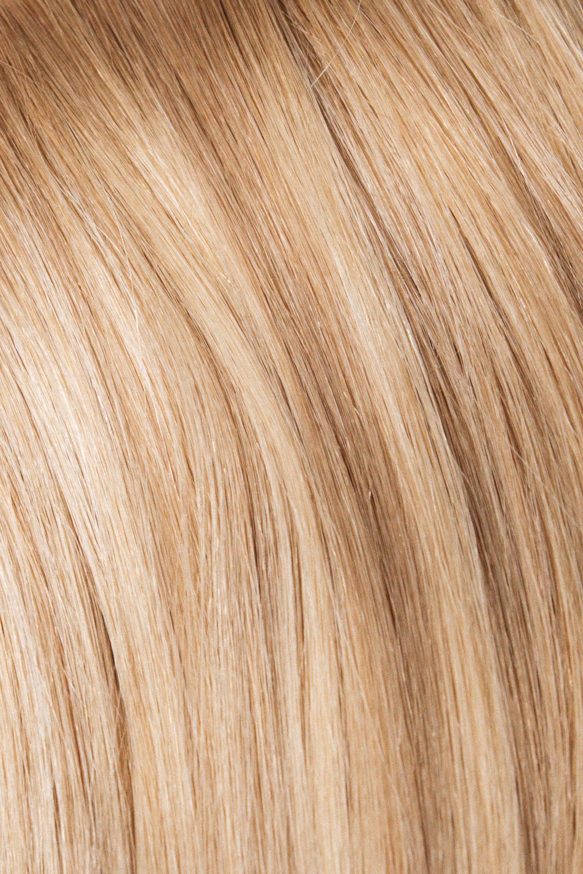 Hybrid Weft Collection Singles